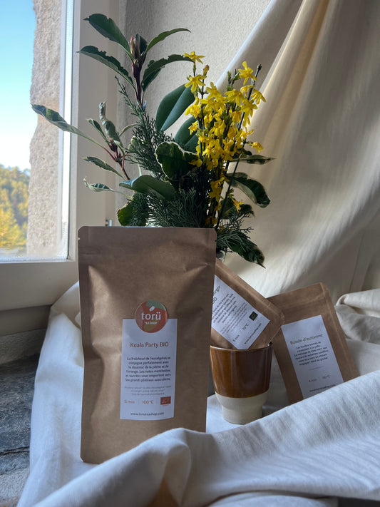 Sachet du rooibos en vrac Koala Party bio