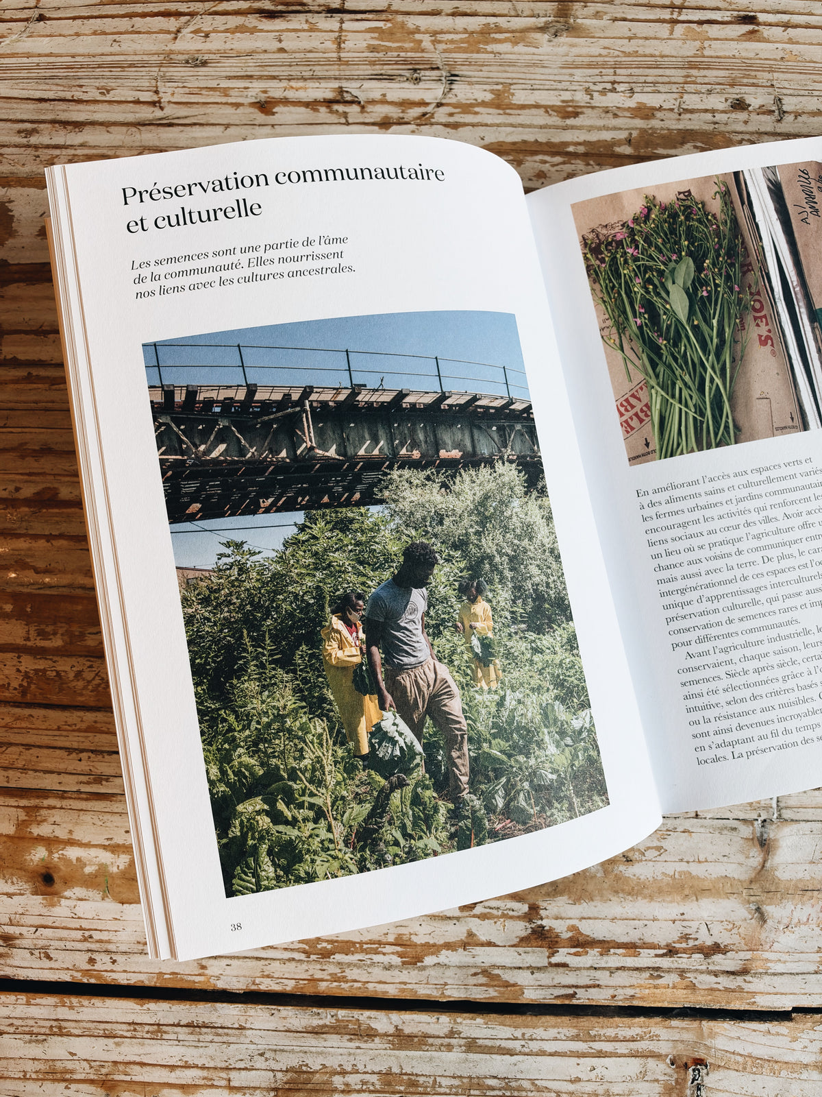 Fermiers urbains – Renouer avec la nature au cœur de la ville (Gestalten)